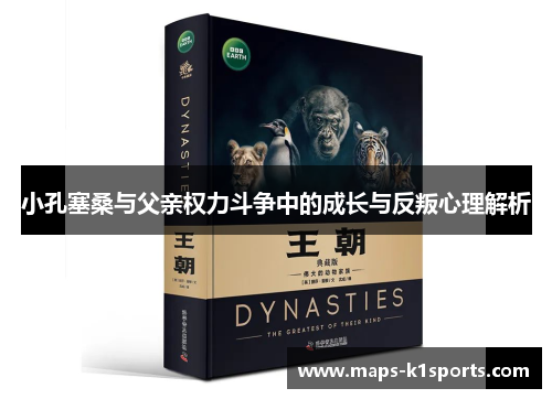 小孔塞桑与父亲权力斗争中的成长与反叛心理解析