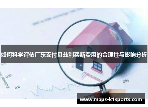 如何科学评估广东支付贝兹利买断费用的合理性与影响分析