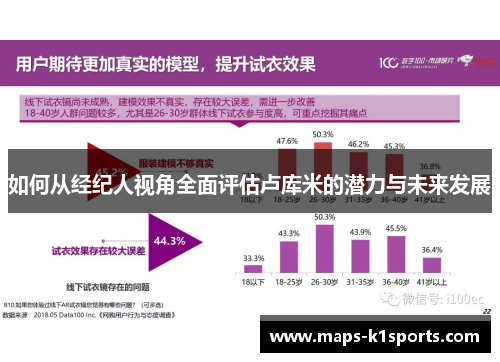 如何从经纪人视角全面评估卢库米的潜力与未来发展